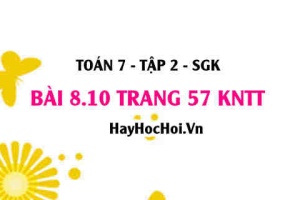 Bài 8.10 trang 57 Toán 7 Tập 2 Kết nối tri thức: Biến cố đồng khả năng và cách tính xác suất